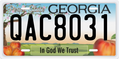 GA license plate QAC8031