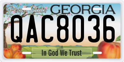 GA license plate QAC8036