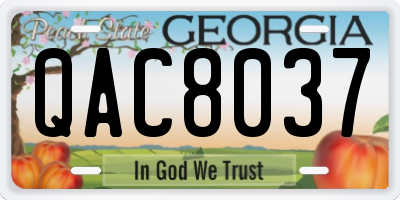 GA license plate QAC8037