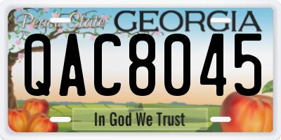 GA license plate QAC8045