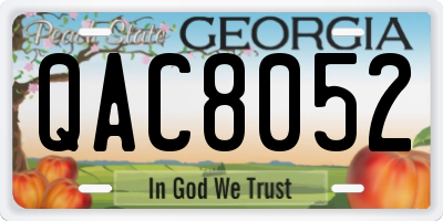 GA license plate QAC8052