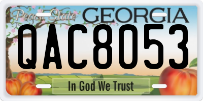 GA license plate QAC8053