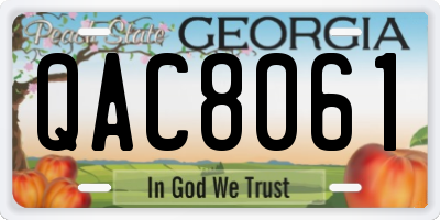 GA license plate QAC8061