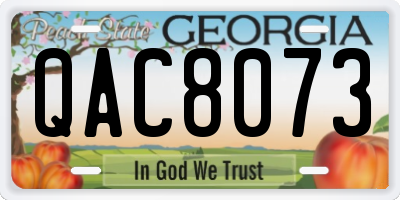 GA license plate QAC8073