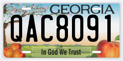 GA license plate QAC8091