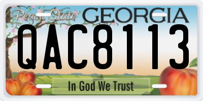 GA license plate QAC8113