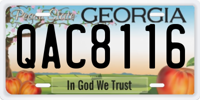 GA license plate QAC8116
