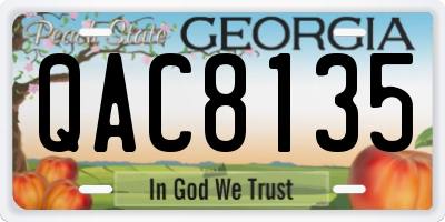 GA license plate QAC8135