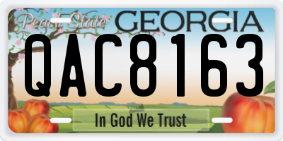 GA license plate QAC8163