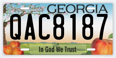 GA license plate QAC8187