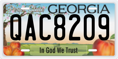 GA license plate QAC8209