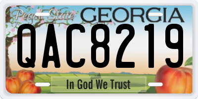 GA license plate QAC8219