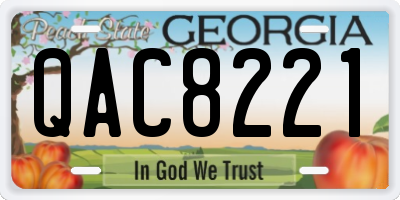 GA license plate QAC8221
