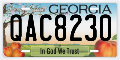 GA license plate QAC8230