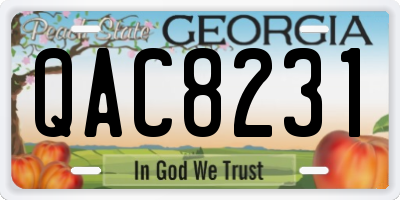 GA license plate QAC8231