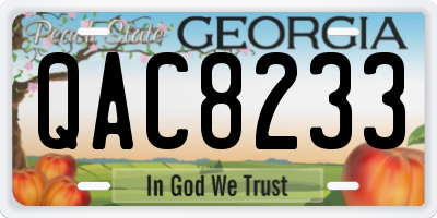 GA license plate QAC8233