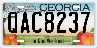 GA license plate QAC8237