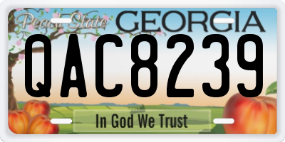 GA license plate QAC8239