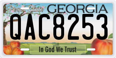 GA license plate QAC8253