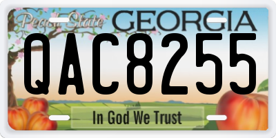 GA license plate QAC8255