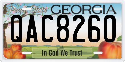 GA license plate QAC8260