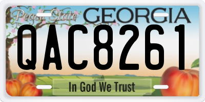GA license plate QAC8261