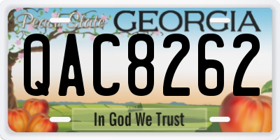GA license plate QAC8262