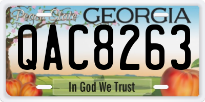 GA license plate QAC8263