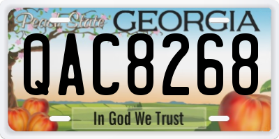 GA license plate QAC8268
