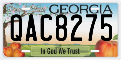 GA license plate QAC8275