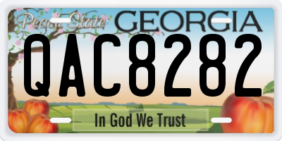 GA license plate QAC8282