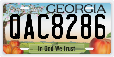 GA license plate QAC8286