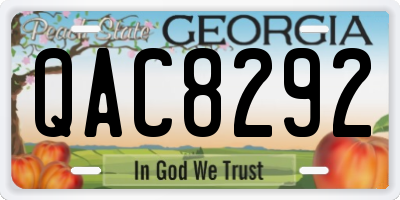 GA license plate QAC8292