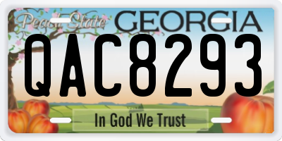 GA license plate QAC8293