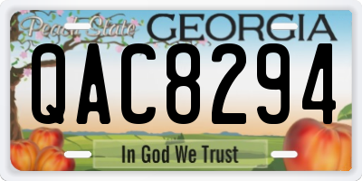 GA license plate QAC8294