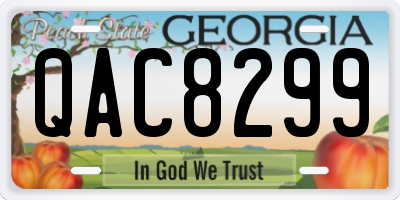 GA license plate QAC8299