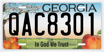 GA license plate QAC8301