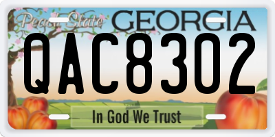GA license plate QAC8302