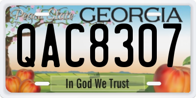 GA license plate QAC8307