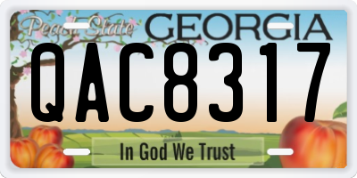 GA license plate QAC8317