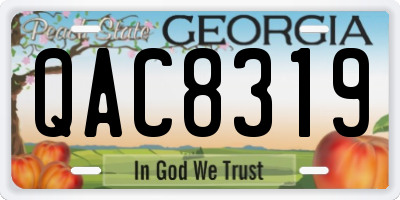 GA license plate QAC8319