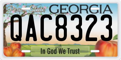 GA license plate QAC8323