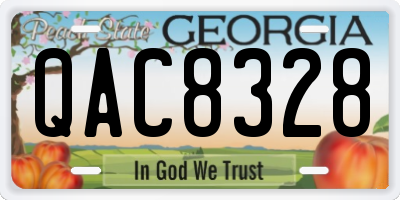 GA license plate QAC8328