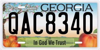 GA license plate QAC8340
