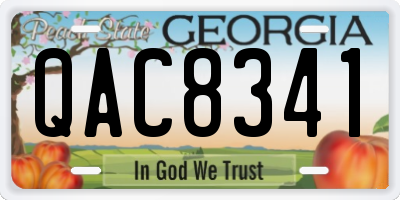GA license plate QAC8341