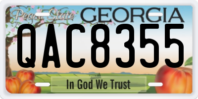 GA license plate QAC8355