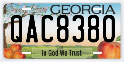 GA license plate QAC8380