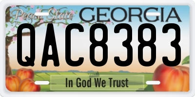 GA license plate QAC8383