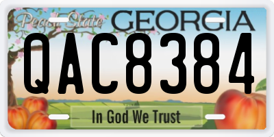 GA license plate QAC8384