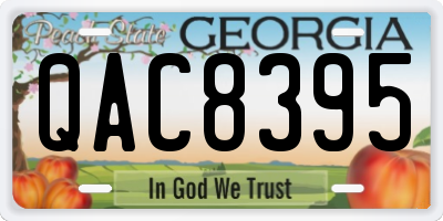 GA license plate QAC8395